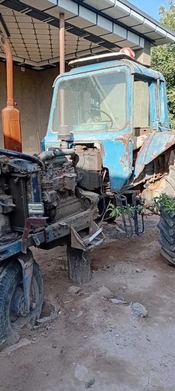Kachkani bolonlar 2 tasi bor yahshi holda setkalari ham bor 3 Kachkani bolonlar 2 tasi bor yahshi holda setkalari ham bor 3