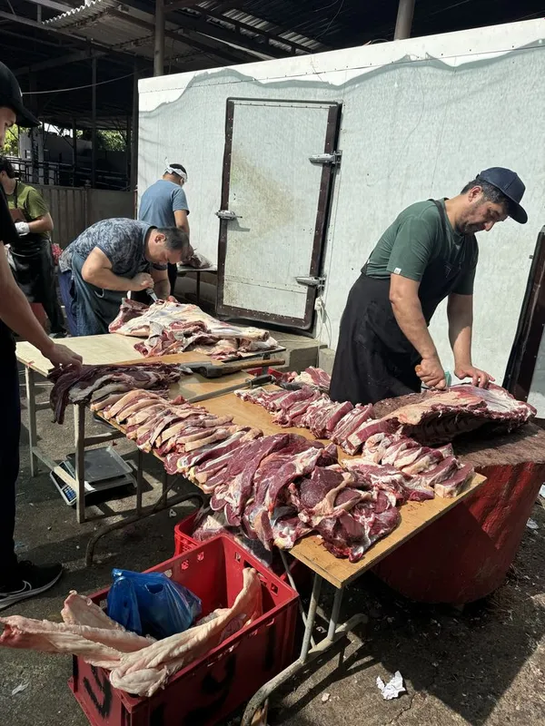 Трубы гофрированные ПВХ и ПНД 6 Трубы гофрированные ПВХ и ПНД 6