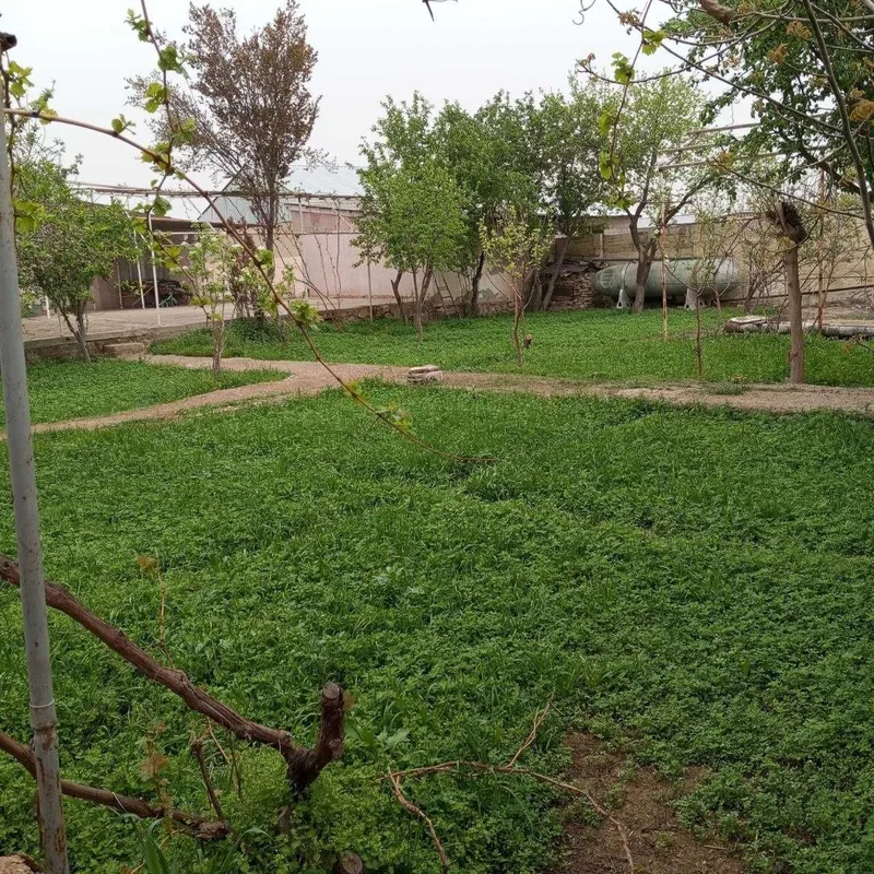 Kogon shaharda tayyor uchastka sotiladi. 4