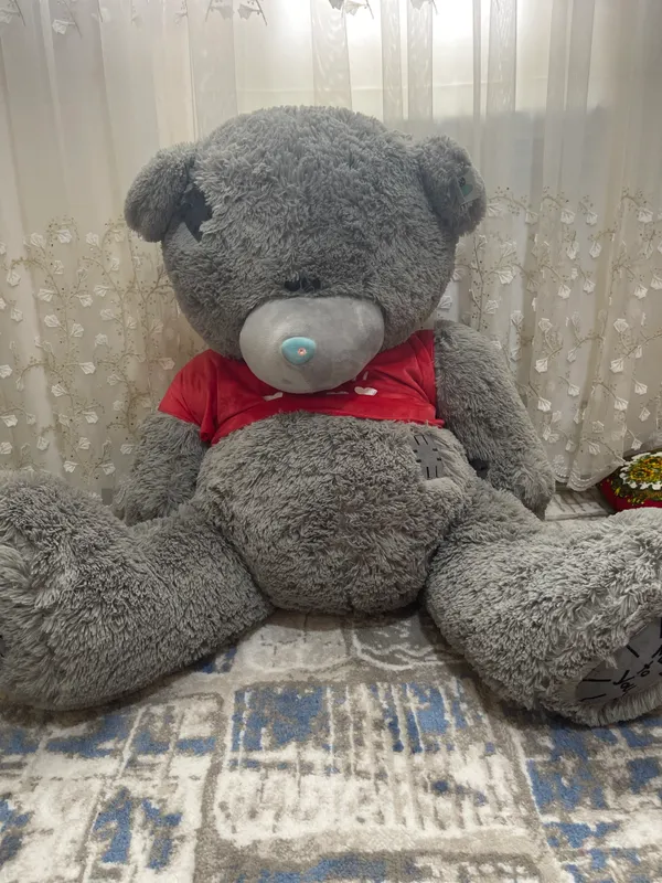 Teddy