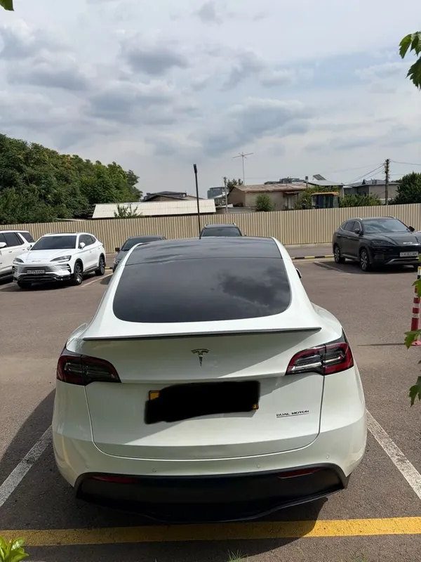 Tesla model y — фото 2