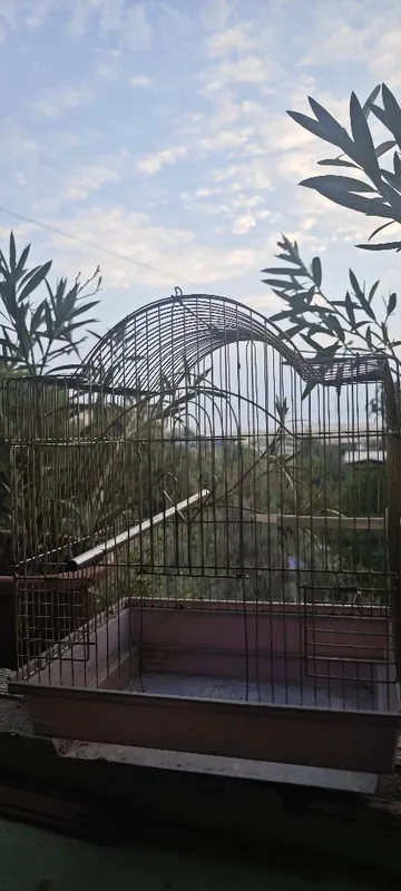 Клетка для попугаев. 2 Клетка для попугаев. 2