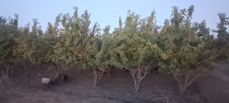 Продаётся участок — фото 1