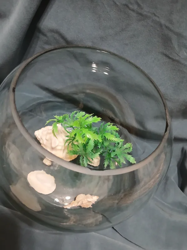 akvarium 4