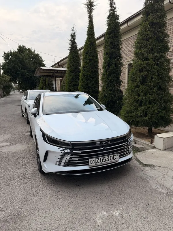 Byd Chazor 2023