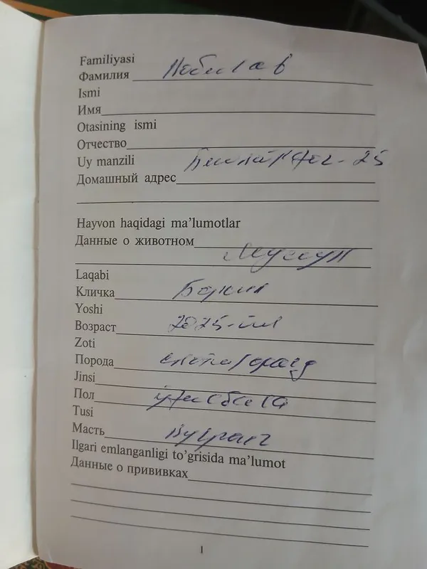 Возьму кошку на вязку 3 Возьму кошку на вязку 3