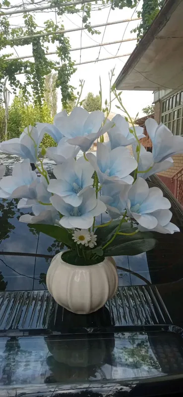 Beauty_Flowers 2
