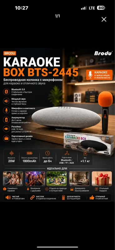 Bluetooth караоке колонка с беспроводным микрофоном