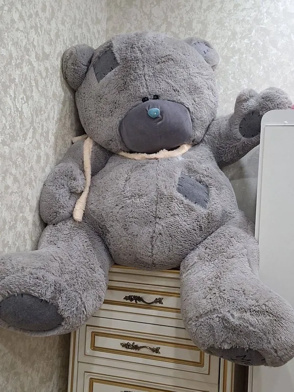 Мишка тедди новый