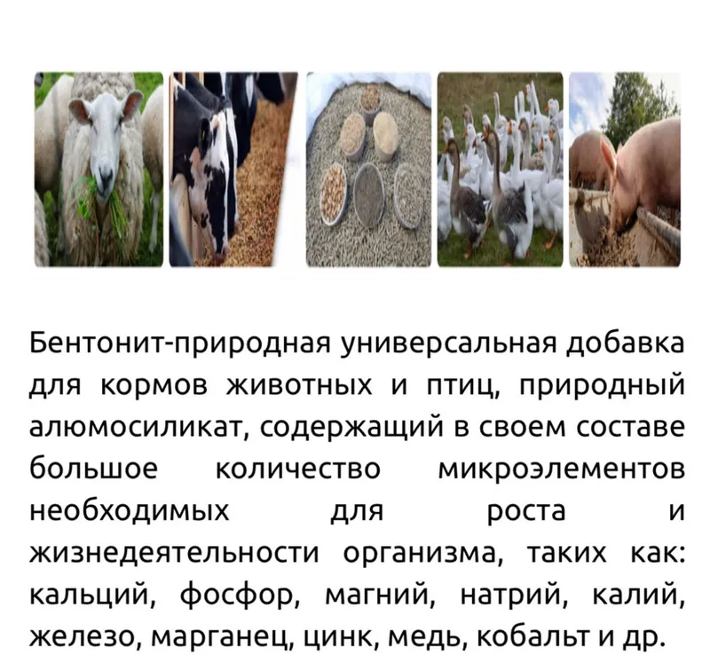 Bentonite - чорва ва парранда учун озука кушимчаси. — фото 1