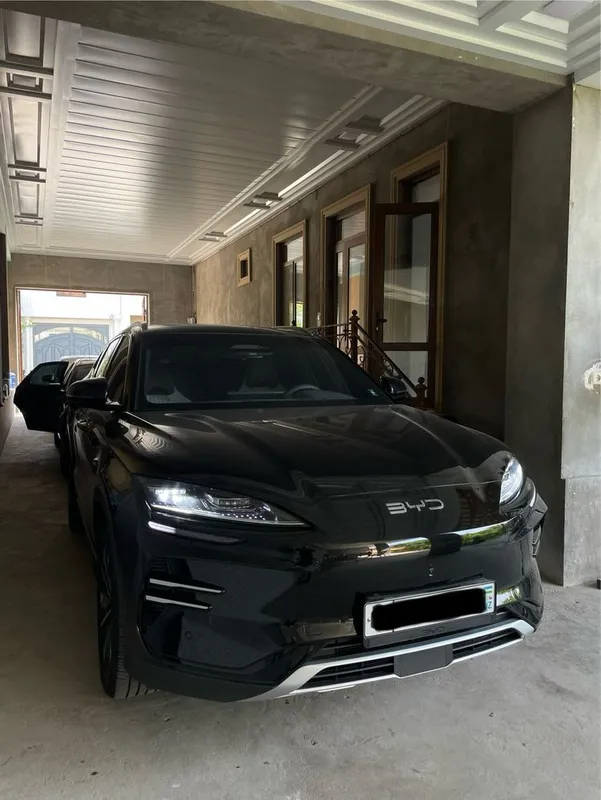 Byd chempion SMART full 605km