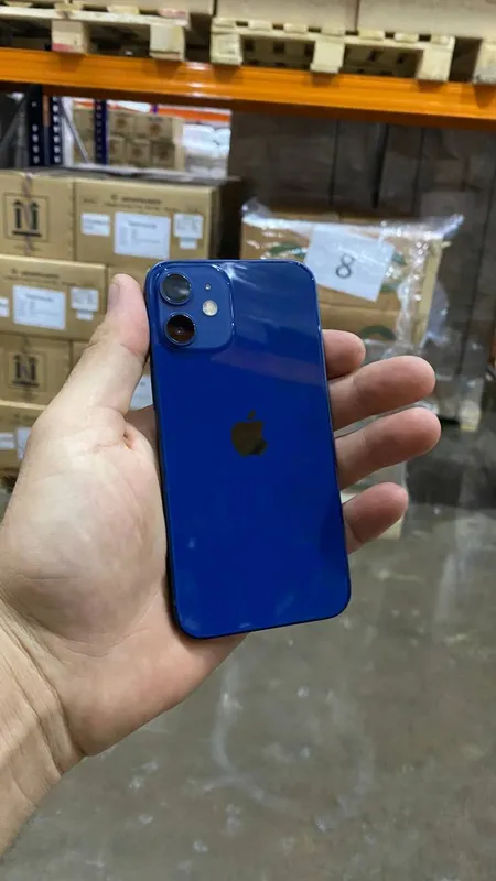iPhone 12 Mini 1