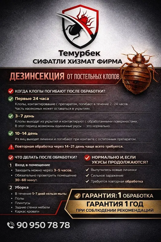 Дезинфекция от всех насекомых, вирус и бактерии. 4