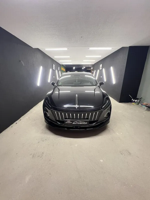 Hongqi 2024 yil 450 zapas hod