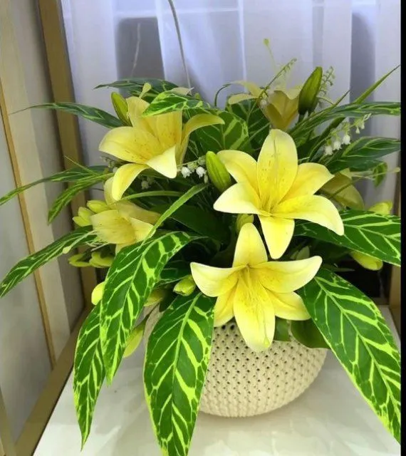 Floristika kursiga taklif qilaman,onlayn kurs 2 Floristika kursiga taklif qilaman,onlayn kurs 2