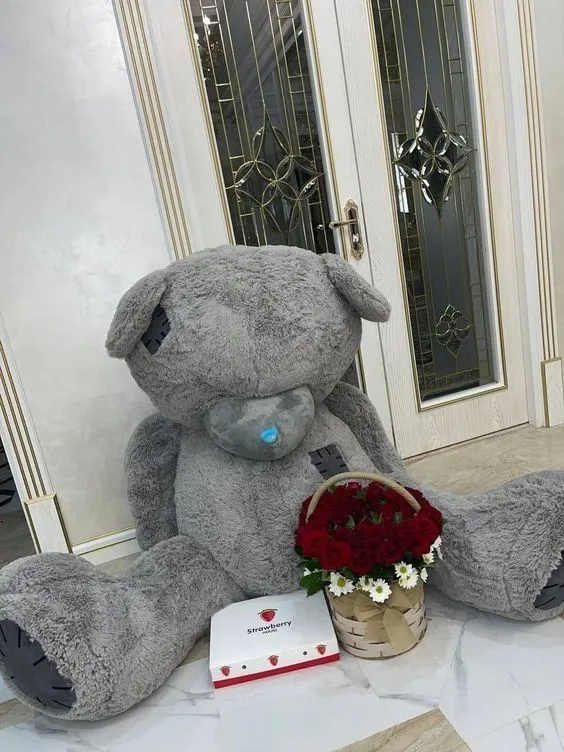 Yumwoq teddy ayiq(me to you)