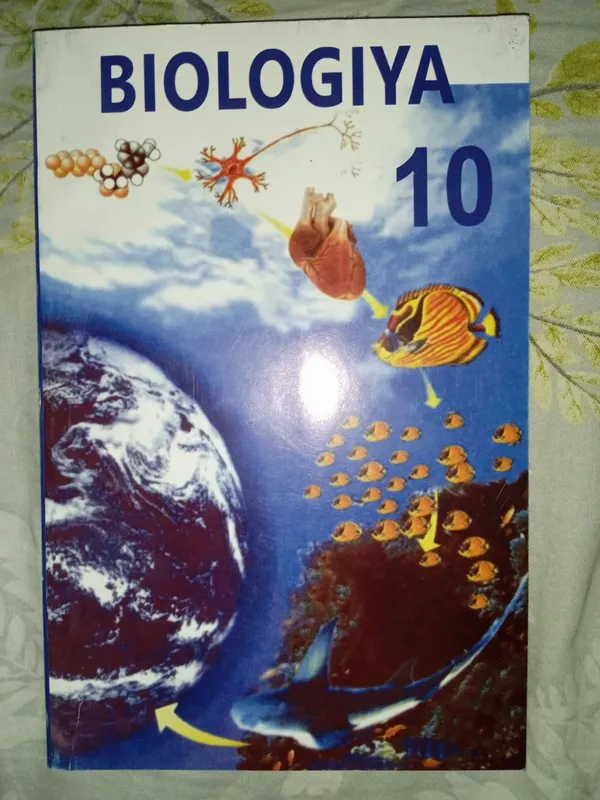 Книга Книга