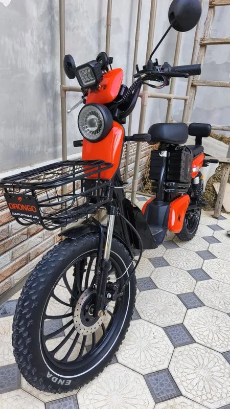 Drongo electric bike