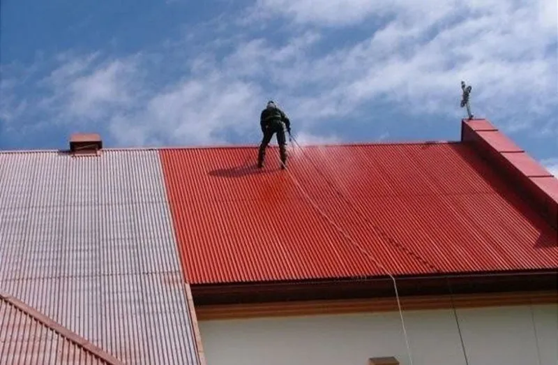 Дарвоза краска сепиш — фото 2