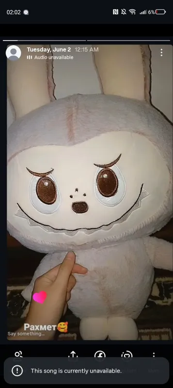 Labubu Labubu