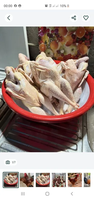 Xonaki gosht mahsulotlar 6