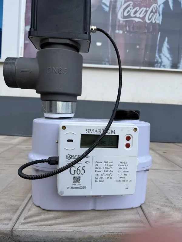Smart G65 klapanlik