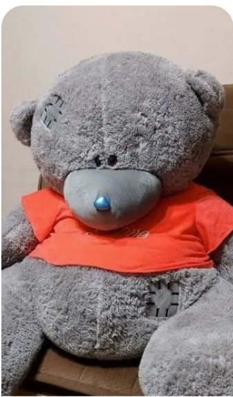 Teddy ayiq kattasi