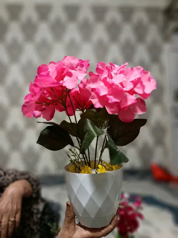 Beauty_Flower 3