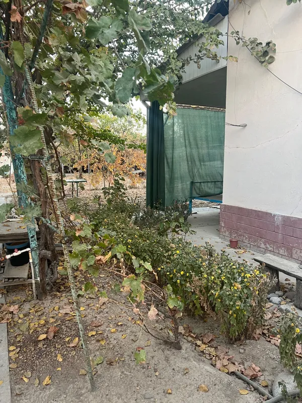 Yuqorichirchiqda Dacha sotiladi — фото 4