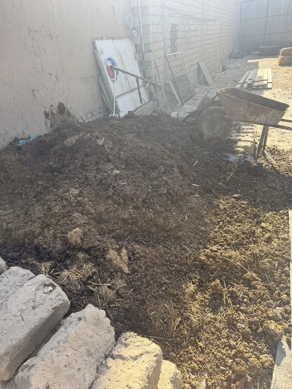 Mol porisi bir moshin ortib ortip olib ketasiz 2 Mol porisi bir moshin ortib ortip olib ketasiz 2