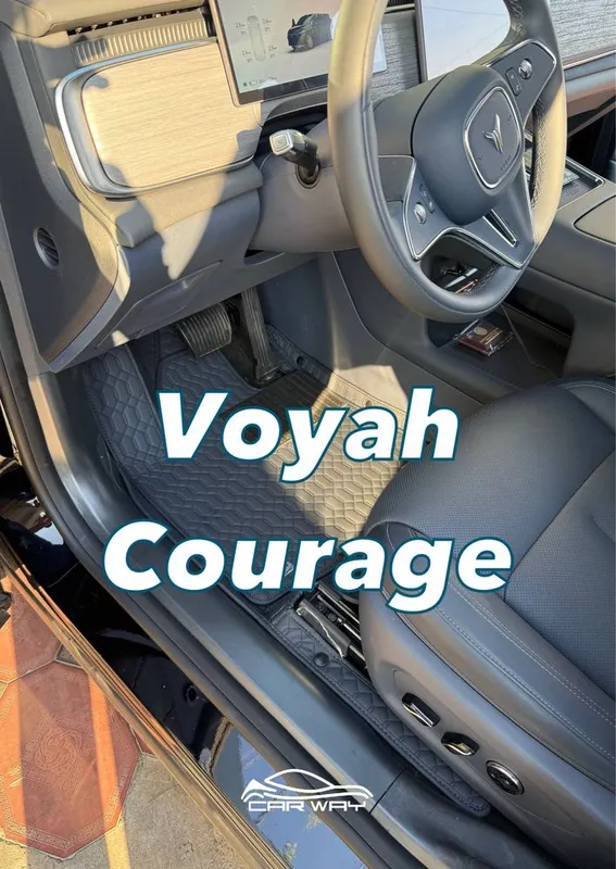9D polik / коврики для Voyah Courage