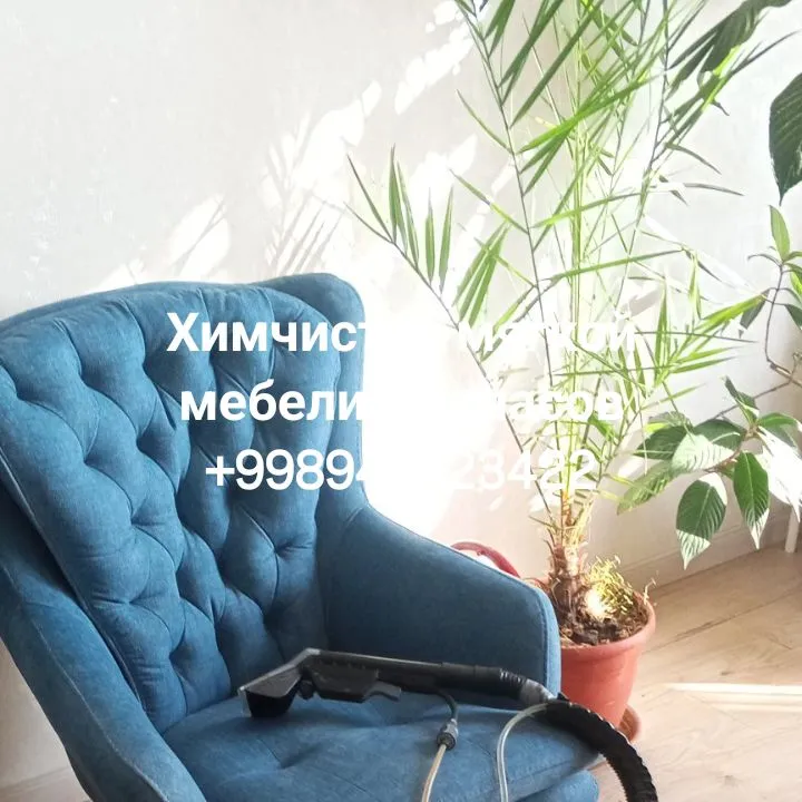 химчистка мягкой мебели и паласов
