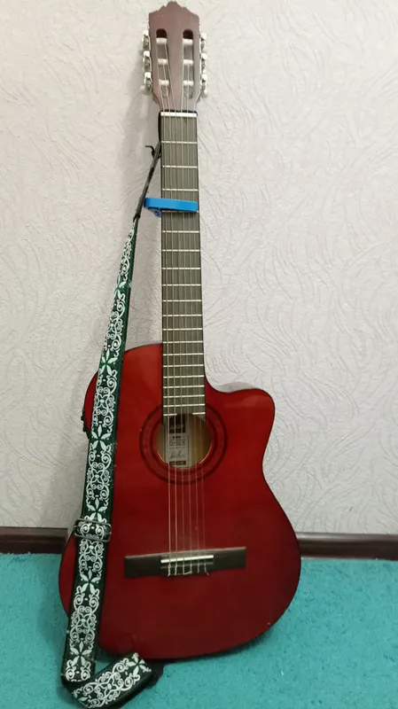 Ashton gitara 3 Ashton gitara 3