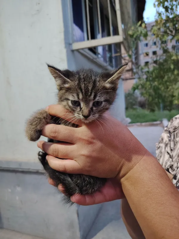 Отдим в хорошие руки 4 Отдим в хорошие руки 4
