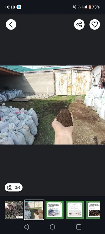 Калифорния чувалчанги калифорнийский червы