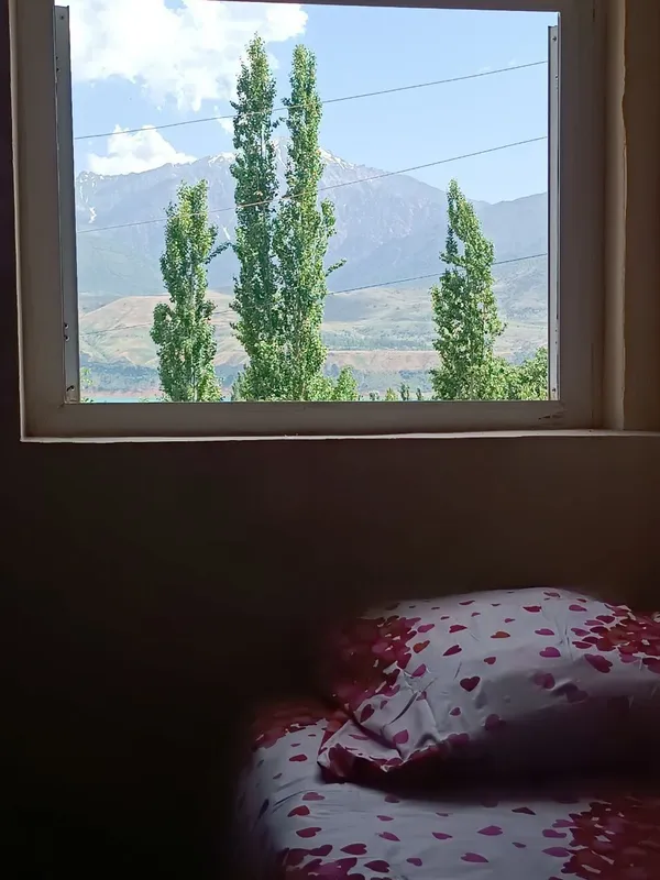 Dacha Brichmulla Дача Яккатут — фото 8