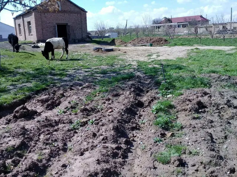 Жой сотилади, бу́линадиган. Нархи келишилади. — фото 1