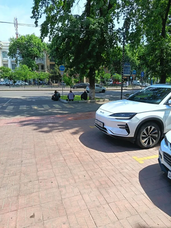 Byd chempion top toza 2023.12 oy berka — фото 1