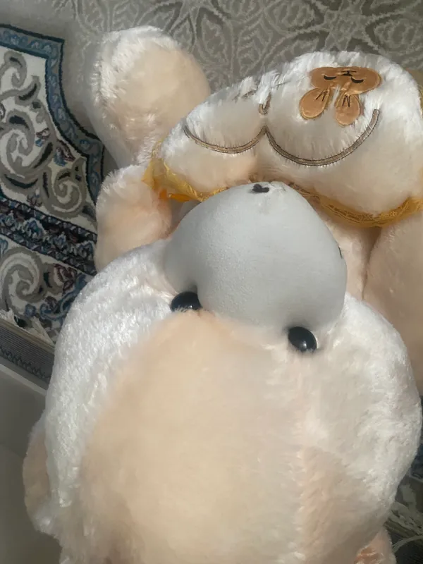 Teddy 1 Teddy 1