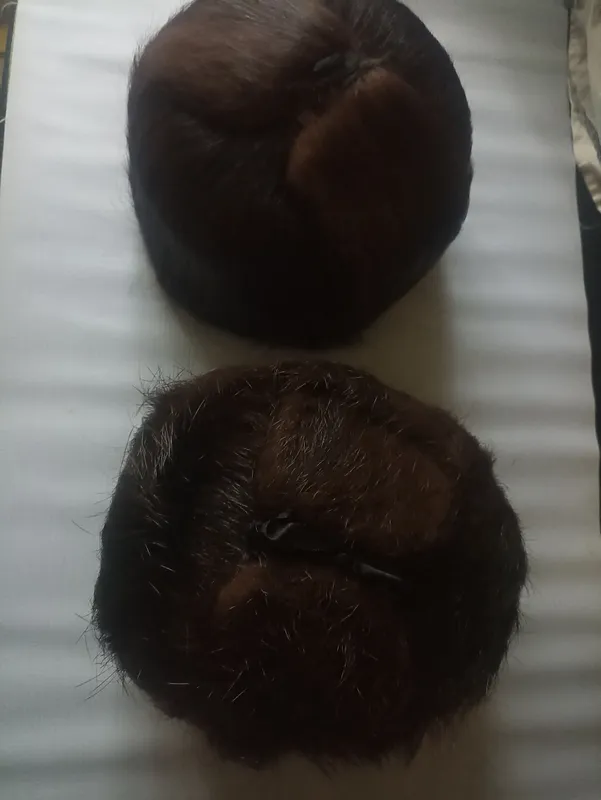 nutriya hayvonidan erkaklar shapkasi 2 nutriya hayvonidan erkaklar shapkasi 2