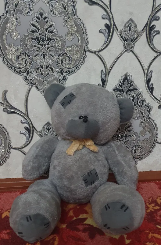 Teddy ayiqcha