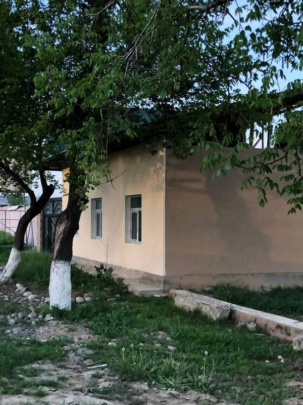 Varyant qilib beraman 1