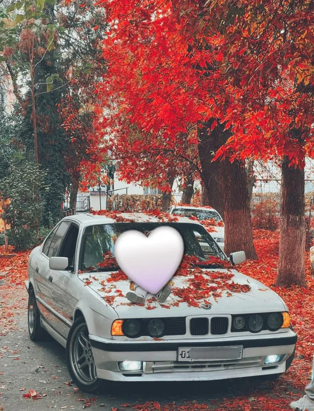 BMW E34 M30 B3.5
