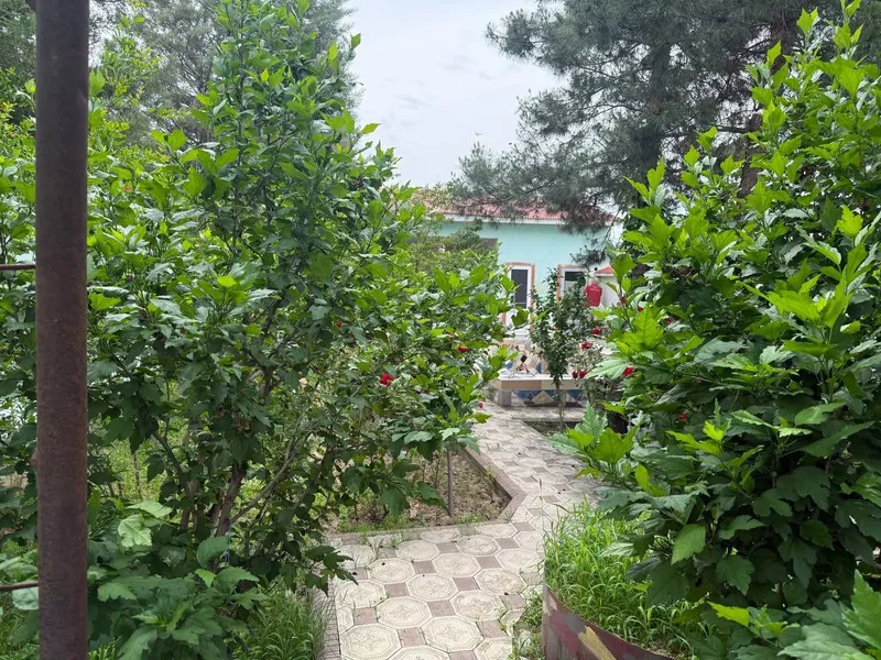 Chirchiqda dacha sotiladi 4 sotu hamma sharoitlari bor — фото 4