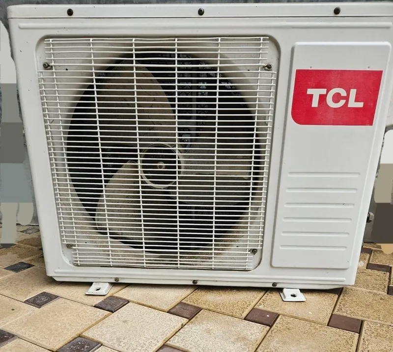 TCL 12 talik bu