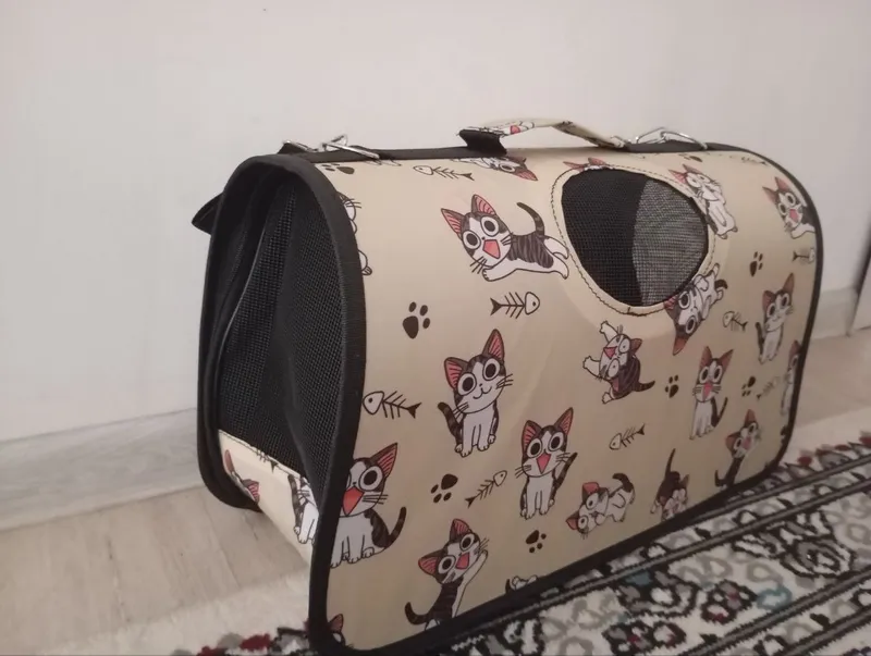 Шотландский фолд хайленд, 2,5-месячный мальчик, здоровый 1 Шотландский фолд хайленд, 2,5-месячный мальчик, здоровый 1