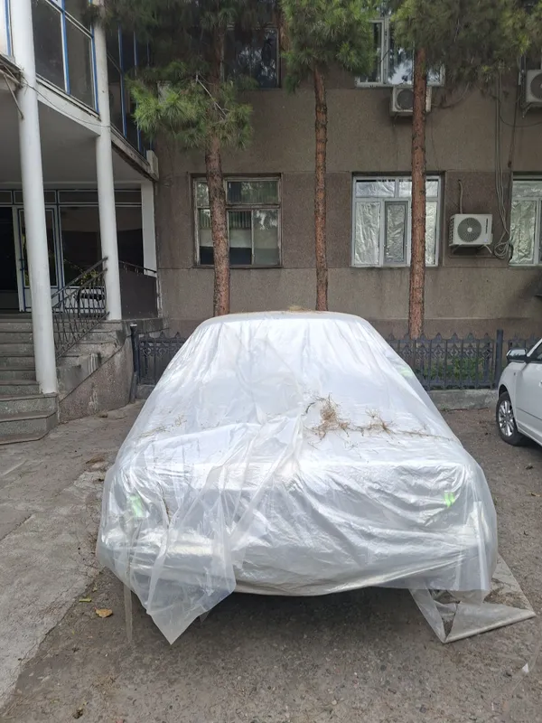 GAZ 3102 бир кул мошина