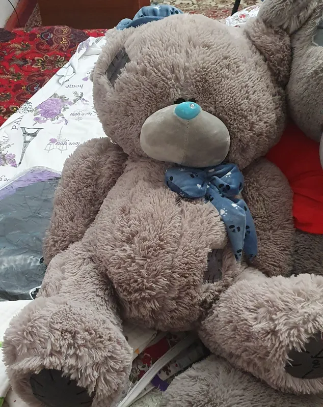 ortacha kattalikda teddy ayiqchasi