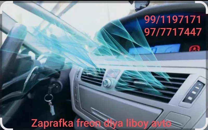 Zaprafka Kanditsaner avto vizov bor