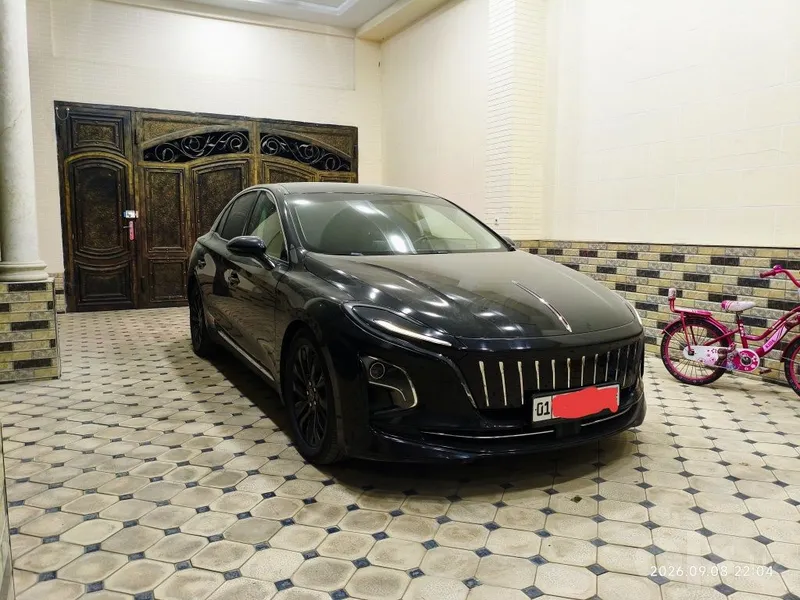 Hongqi eqm5 500 plus 2 Hongqi eqm5 500 plus 2
